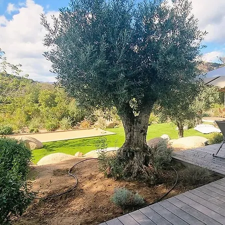 Juca, 10 Pers, Piscine Chauffee, 10 Minutes Villa *